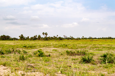 Similar image 18512311