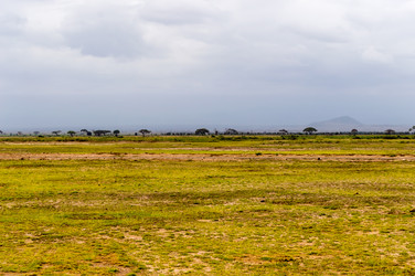 Similar image 18512312