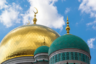 Similar image 17817796