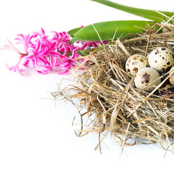 Similar image 17816303