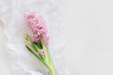 Similar image 17816330