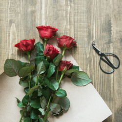 Similar image 17816415