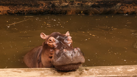 Similar image 18148981