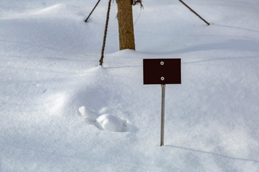 Similar image 18511944