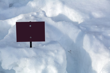 Similar image 18511946