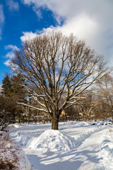 Similar image 18512050