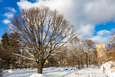 Similar image 18512560