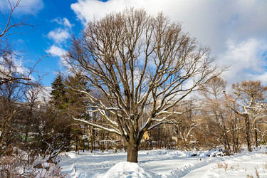 Similar image 18512561