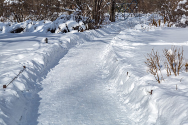 Similar image 18512631