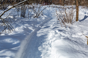 Similar image 18512632