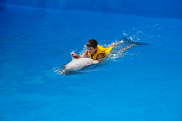 Similar image 17816848