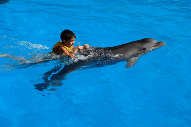 Similar image 17567146