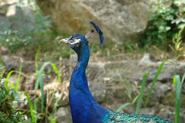 Similar image 17816859