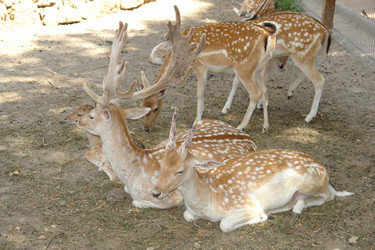 Similar image 17593980