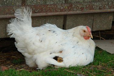 Similar image 17623056