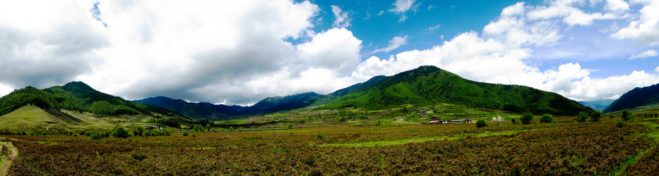 Similar image 18509442