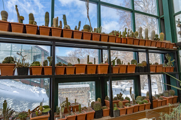 Similar image 18512500