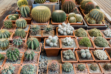 Similar image 18512501