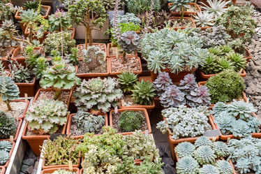 Similar image 18512641