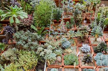 Similar image 18512644