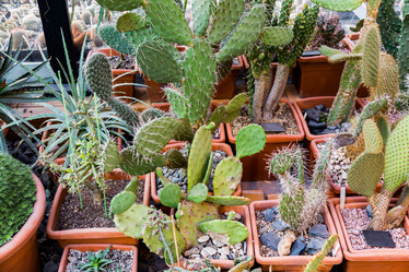 Similar image 18512519