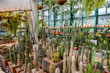 Similar image 18512520