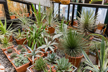 Similar image 18512653