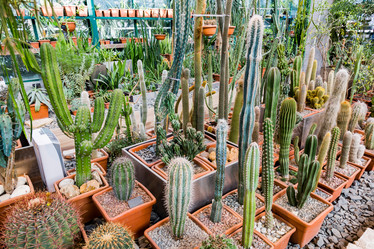 Similar image 18512656