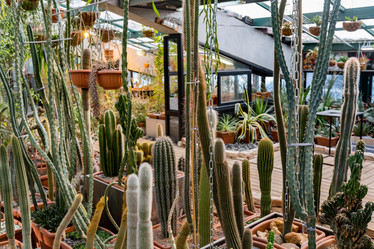 Similar image 18512661