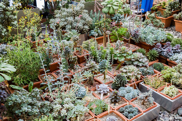 Similar image 18512666