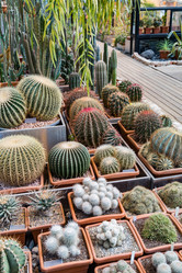 Similar image 18512671