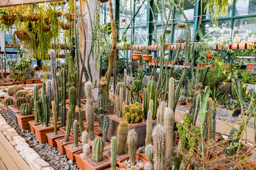 Similar image 18512679