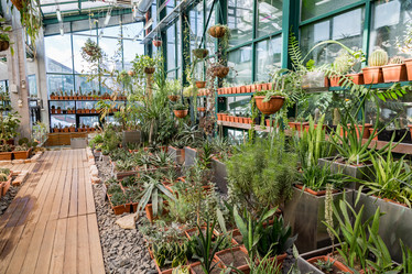 Similar image 18512685