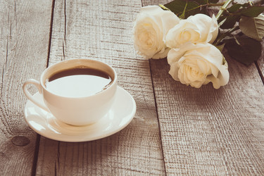 Similar image 17816360