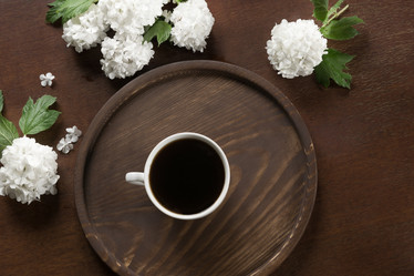 Similar image 17816434