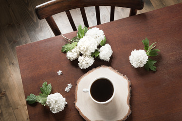 Similar image 17816440