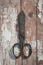 Similar image 17816465