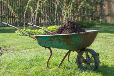 Similar image 17816484