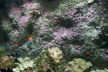 Similar image 18510708