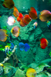 Similar image 18510711