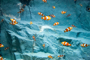 Similar image 18510712