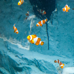 Similar image 18510763