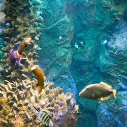 Similar image 18510766