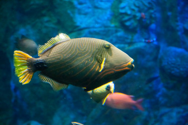 Similar image 18510716