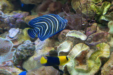 Similar image 18510888