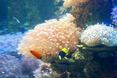 Similar image 18510889