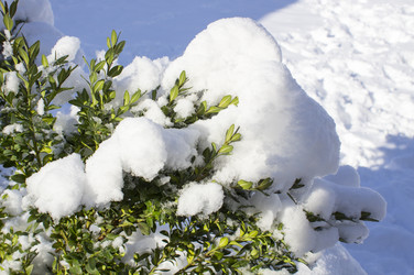 Similar image 18138008