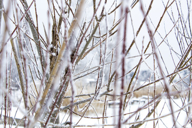 Similar image 18138099