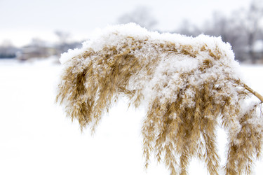 Similar image 18138103