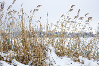 Similar image 18138105